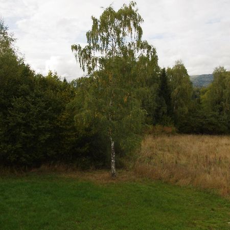 ホテルMagiczne Bieszczady - Smerek 86 チスナ エクステリア 写真