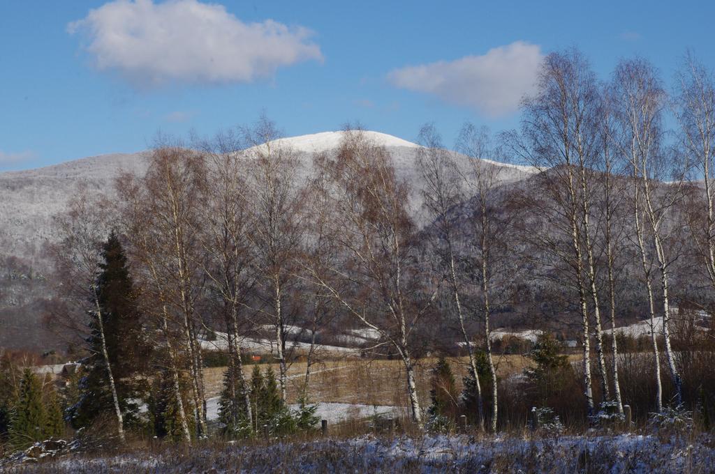 ホテルMagiczne Bieszczady - Smerek 86 チスナ エクステリア 写真