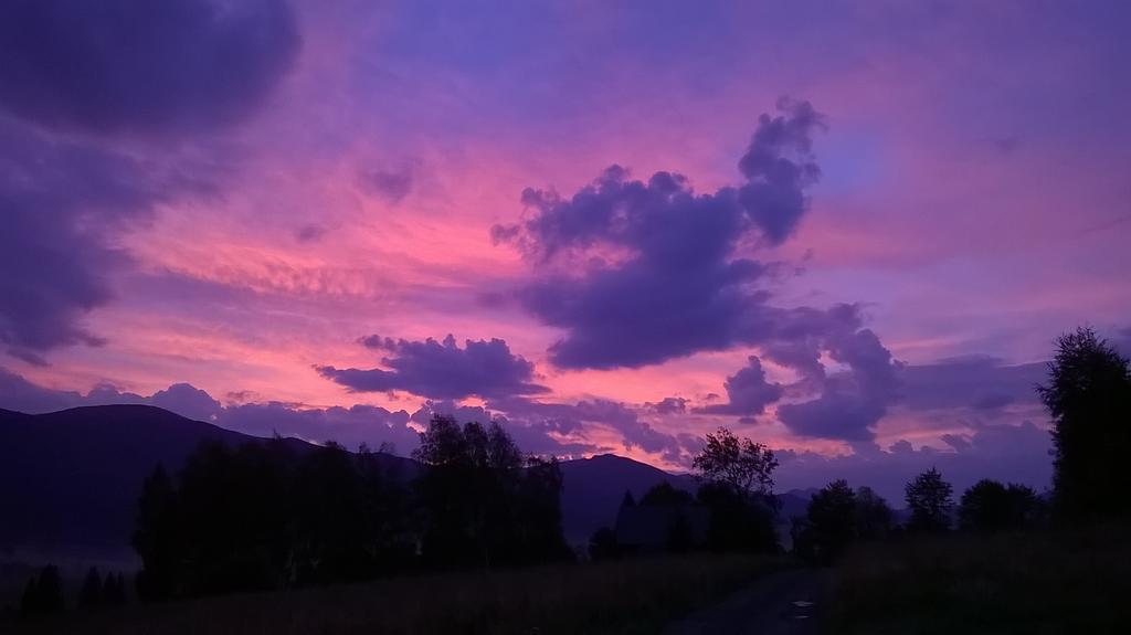 ホテルMagiczne Bieszczady - Smerek 86 チスナ エクステリア 写真